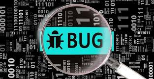 Bugbounty Programları Nasıl Olur